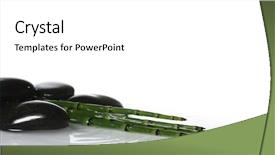  Presentation with water ressource - Colorful presentation theme enhanced with simple wave green - stones reeds in water backdrop and a white colored foreground