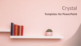  Presentation with succulent - Colorful presentation enhanced with simple-white-shelves-on-pale backdrop and a lemonade colored foreground