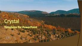  Presentation with fly agaric in forest - Theme having sinematic - aerial flying abouve forest background and a tawny brown colored foreground