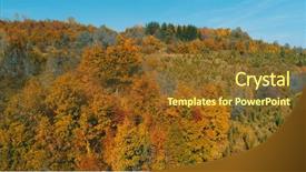  Presentation with fly agaric in forest - Audience pleasing PPT layouts consisting of sinematic - aerial flying abouve forest backdrop and a tawny brown colored foreground