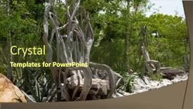  Presentation with gardens - 