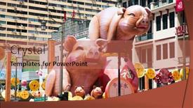  Presentation with pig year - 
