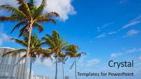  Presentation with singer - Presentation having singer island beach at palm beach florida palm trees in usa background and a light blue colored foreground