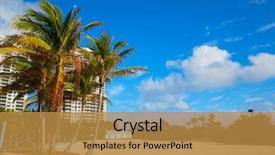  Presentation with singer - Presentation theme with singer island beach at palm beach florida palm trees in usa background and a gold colored foreground