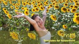  Presentation with bulgarian - Presentation with singing young woman in a yellow bulgarian sunflower field background and a tawny brown colored foreground