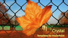  Presentation with maple leaf - Colorful theme enhanced with single autumn maple leaf in a fence backdrop and a tawny brown colored foreground