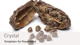  Presentation with cardamom - Colorful presentation enhanced with single black cardamom fruit backdrop and a light gray colored foreground