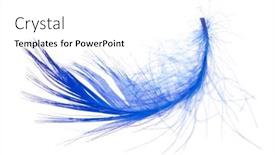  Presentation with feather - 