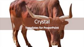  Presentation with single malt - Amazing presentation having close view on the steel reinforcing bars backdrop and a  colored foreground.