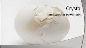  Presentation with single cell protein - Presentation theme featuring single cell protein - cracked white egg with plastic background and a lemonade colored foreground