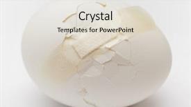  Presentation with single cell protein - Audience pleasing PPT theme consisting of single cell protein - cracked white egg with plastic backdrop and a lemonade colored foreground