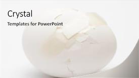  Presentation with plastic pollution in ocean - Slide set featuring single cell protein - cracked white egg with plastic background and a white colored foreground