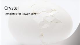  Presentation with single cell protein - PPT theme consisting of single cell protein - cracked white egg background and a white colored foreground