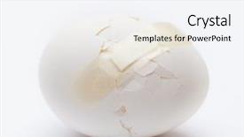  Presentation with single cell protein - Beautiful PPT theme featuring delicious chocolate cake on plate on table on light background tonned photo backdrop and a lemonade colored foreground