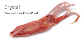  Presentation with tongue - Slide set featuring single-cooked-chinese-duck-tongue background and a  colored foreground