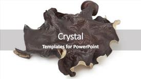  Presentation with ear - PPT theme with single dried jews ear mushroom background and a dark gray colored foreground