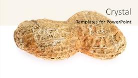  Presentation with peanut shell - Slide set having single dry roasted peanut in the shell isolated on white background and a lemonade colored foreground