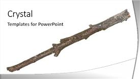  Presentation with single tree - PPT layouts featuring single dry tree branch isolated background and a white colored foreground