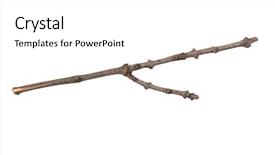  Presentation with single tree - Cool new slide set with single dry tree branch isolated backdrop and a white colored foreground
