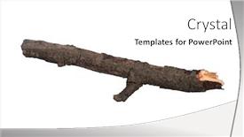  Presentation with single tree - Slide set enhanced with single-dry-tree-branch-isolated background and a white colored foreground