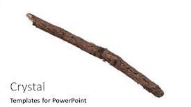  Presentation with single tree - Audience pleasing presentation design consisting of single-dry-tree-branch-isolated backdrop and a white colored foreground