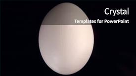  Presentation with egg - Slide set enhanced with chicken embryo - single egg in black background and a black colored foreground