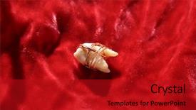  Presentation with human - Presentation theme enhanced with single extracted human tooth wrapped background and a  colored foreground