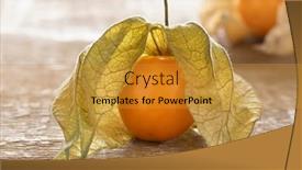  Presentation with gooseberry - Slides with single-fresh-cape-gooseberry-physalis background and a  colored foreground