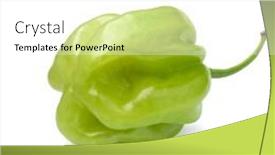  Presentation with white green - Theme consisting of single-fresh-green-scorpion-chili background and a white colored foreground