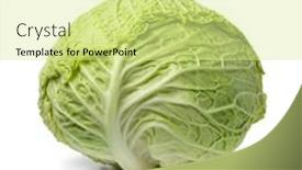  Presentation with cabbage - Presentation enhanced with single-fresh-raw-whole-savoy background and a blonde colored foreground