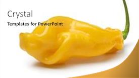  Presentation with chili - Slides with single-fresh-yellow-scorpion-chili background and a white colored foreground
