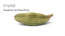  Presentation with cardamom - Beautiful PPT layouts featuring single-green-cardamom-pod-close backdrop and a white colored foreground