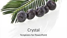  Presentation with single tree - Beautiful presentation theme featuring vital staining - single green leaf of palm backdrop and a white colored foreground