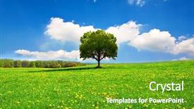  Presentation with spring - Theme with brain - academic report - think outside background and a light gray colored foreground