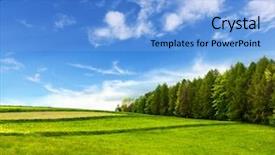  Presentation with japan beautiful landscape mountain fuji - Slide deck having single green tree - mountain landscape background and a  colored foreground