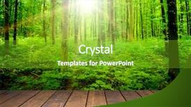  Presentation with single tree - Cool new PPT theme with single green tree - wood textured backgrounds backdrop and a tawny brown colored foreground