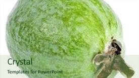  Presentation with one swot - PPT layouts featuring single guava fruit - one feijoa acca sellowiana close background and a seafoam green colored foreground