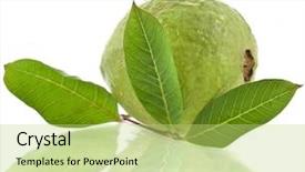  Presentation with green leaves - Presentation design enhanced with mountaineer guide - climber in himalayan mountain background and a  colored foreground.