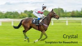  Presentation with horse racing - Presentation theme enhanced with single jockey on horse racing background and a gold colored foreground