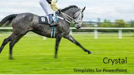  Presentation with horse racing - Presentation theme consisting of single jockey on horse background and a gold colored foreground