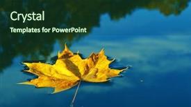  Presentation with maple leaf - Presentation enhanced with single leaf on water close background and a tawny brown colored foreground