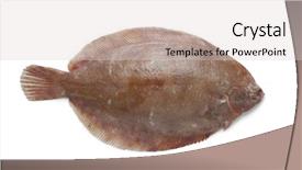  Presentation with post apocalypse sole survivor - Beautiful slides featuring palm easy learning excellent education backdrop and a  colored foreground.