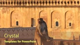  Presentation with india fort - PPT theme consisting of single-monkey-on-the-wall background and a  colored foreground