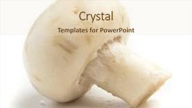  Presentation with mushroom - Amazing PPT layouts having single-mushroom-isolated backdrop and a lemonade colored foreground