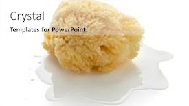  Presentation with sea water - Amazing slide deck having single-natural-sea-bath-sponge backdrop and a white colored foreground
