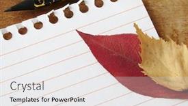  Presentation with page - PPT layouts with single notepad page and autumnal leaves with pencil background and a white colored foreground