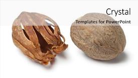  Presentation with white - Audience pleasing PPT theme consisting of single nutmeg kernel and mace backdrop and a white colored foreground