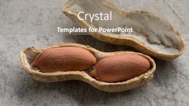  Presentation with peanut - Presentation with single open shelled roasted peanut close up background and a gray colored foreground