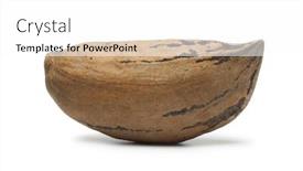  Presentation with nut - Colorful PPT theme enhanced with single organic unshelled pecan nut on white background backdrop and a white colored foreground