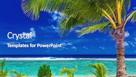  Presentation with green lagoon - Beautiful slide set featuring single palm tree on the beach overlooking amazing green lagoon backdrop and a cobalt blue colored foreground